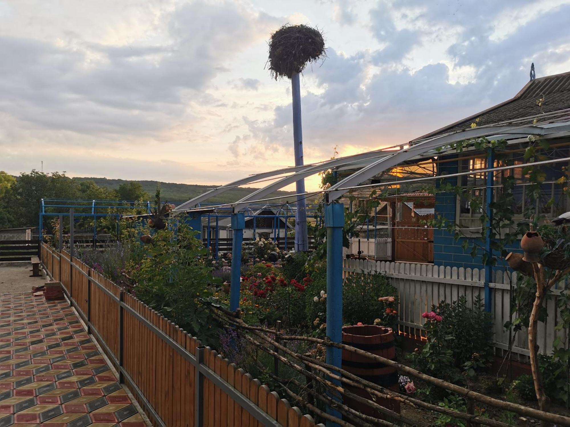 La Madalina Acomodação com café da manhã Selemet Exterior foto